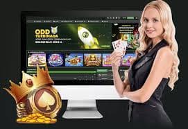 stake app